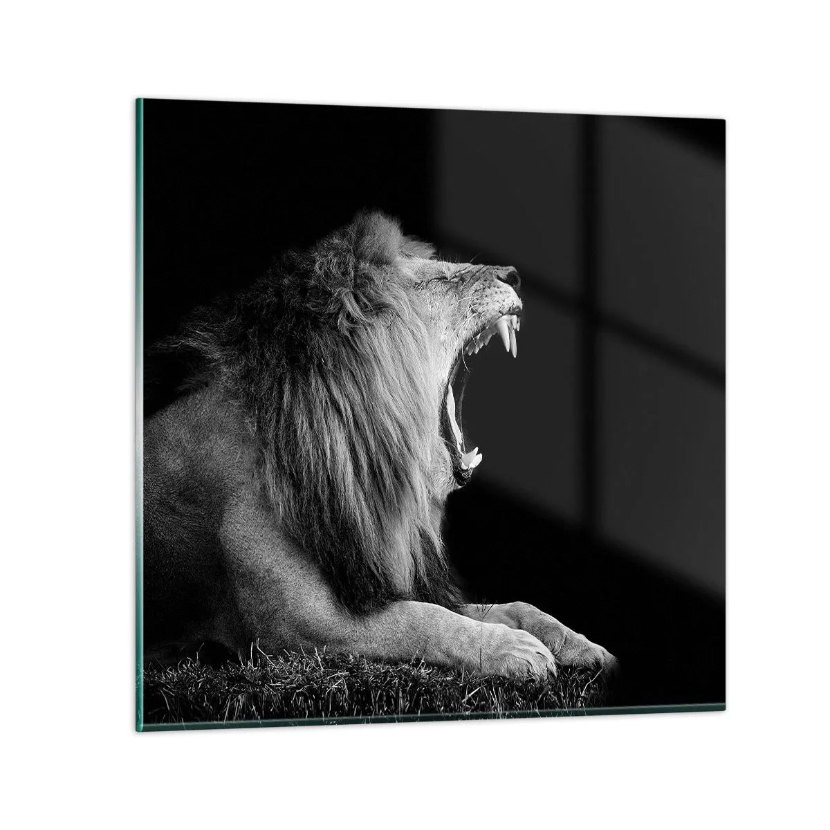 Obraz na szkle - Bez żadnych wątpliwości - 50x50 cm