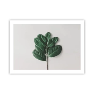 Plakat - Rysunek samej natury - 70x50 cm