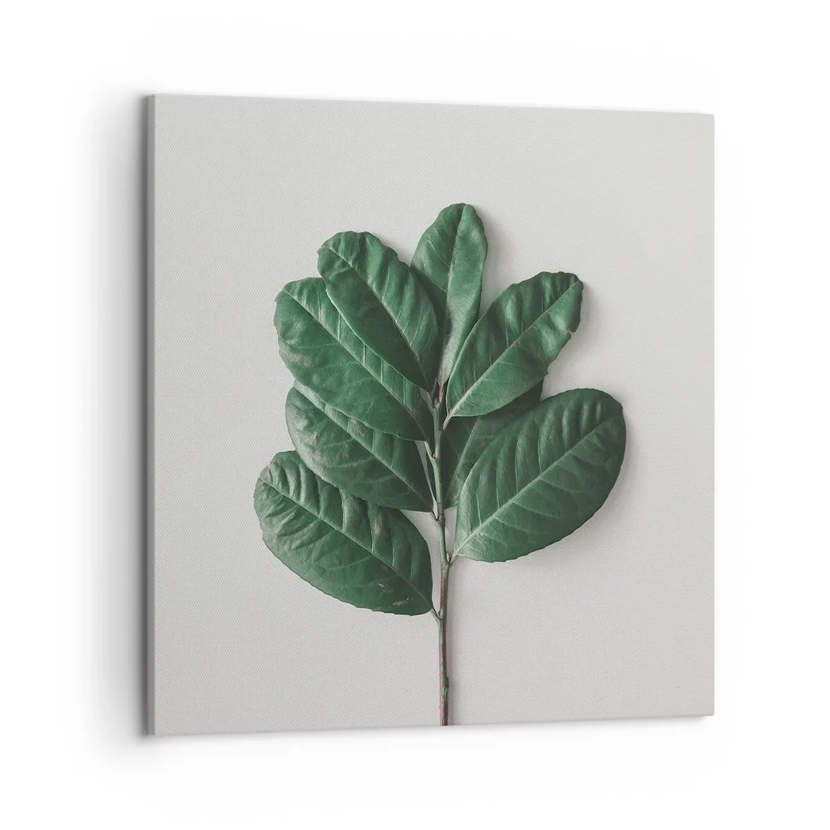 Obraz na płótnie - Rysunek samej natury - 50x50 cm