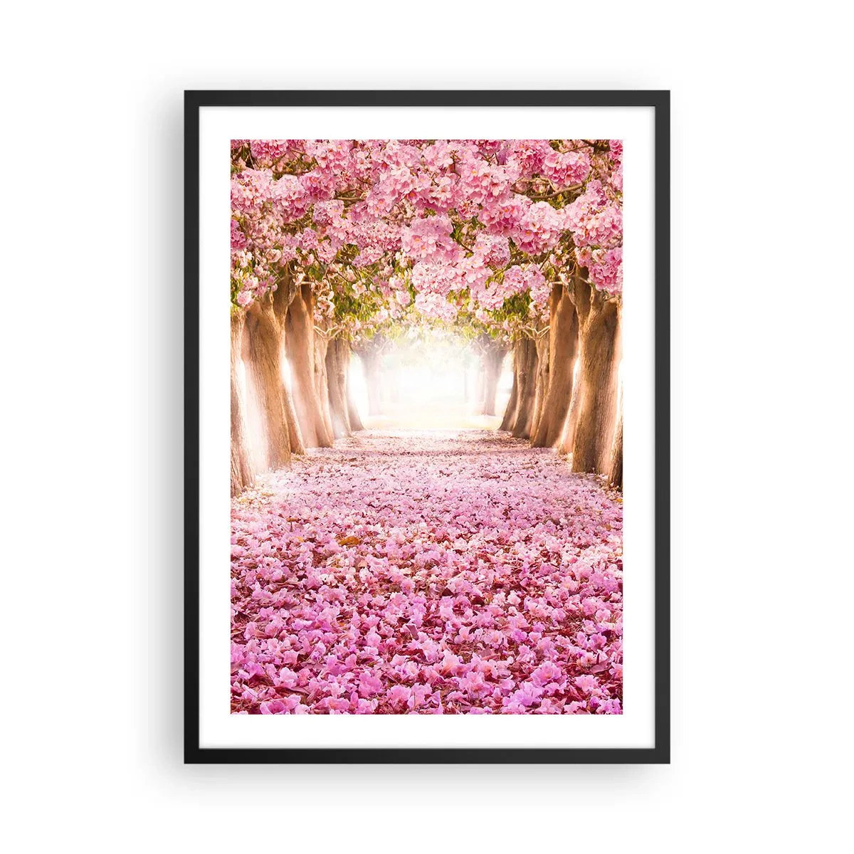 Plakat w czarnej ramie - Aleja drzew wiśniowych z różowym kwiatowym dywanem - 50x70cm - Droga do raju - Nowoczesna dekoracja ścienna do salonu i sypialni ARTTOR