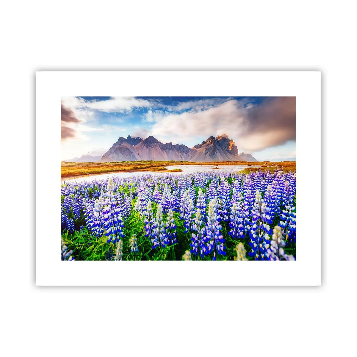 Plakat - Siła i surowość obok łagodności - 40x30 cm