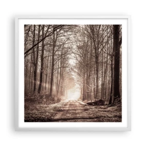 Plakat w białej ramie - Leśna katedra - 60x60 cm