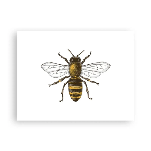 Plakat - Piękna i dobra - 40x30 cm