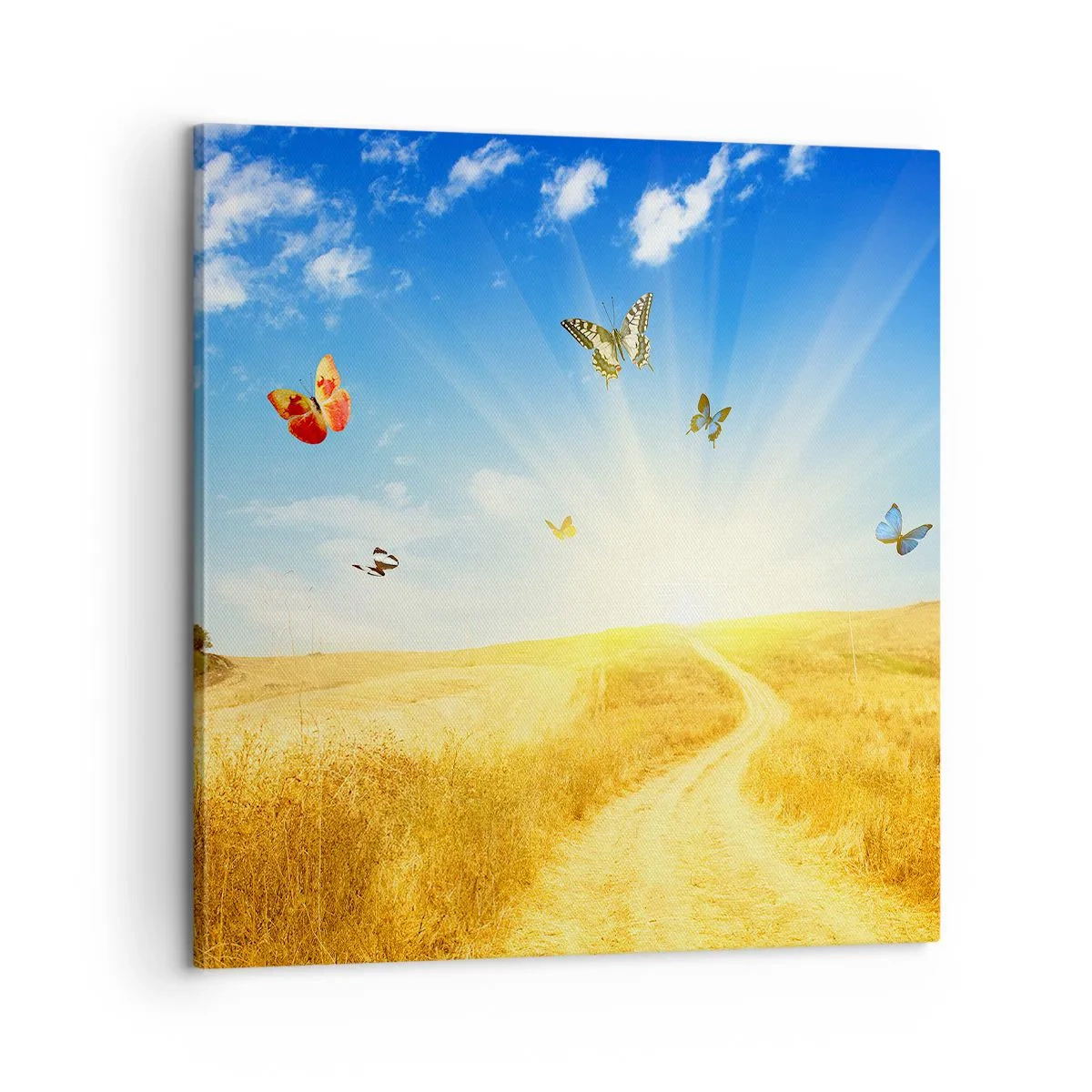 Obraz na płótnie - I jak tu nie kochać lata? - 60x60 cm