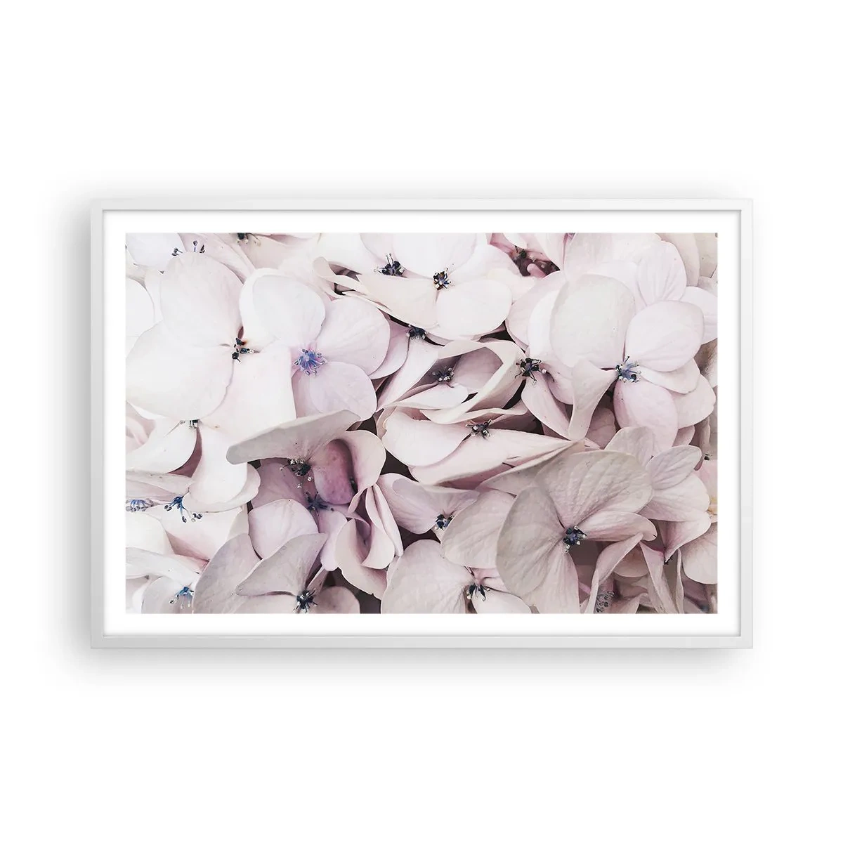Plakat w białej ramie - W powodzi kwiatów - 91x61 cm