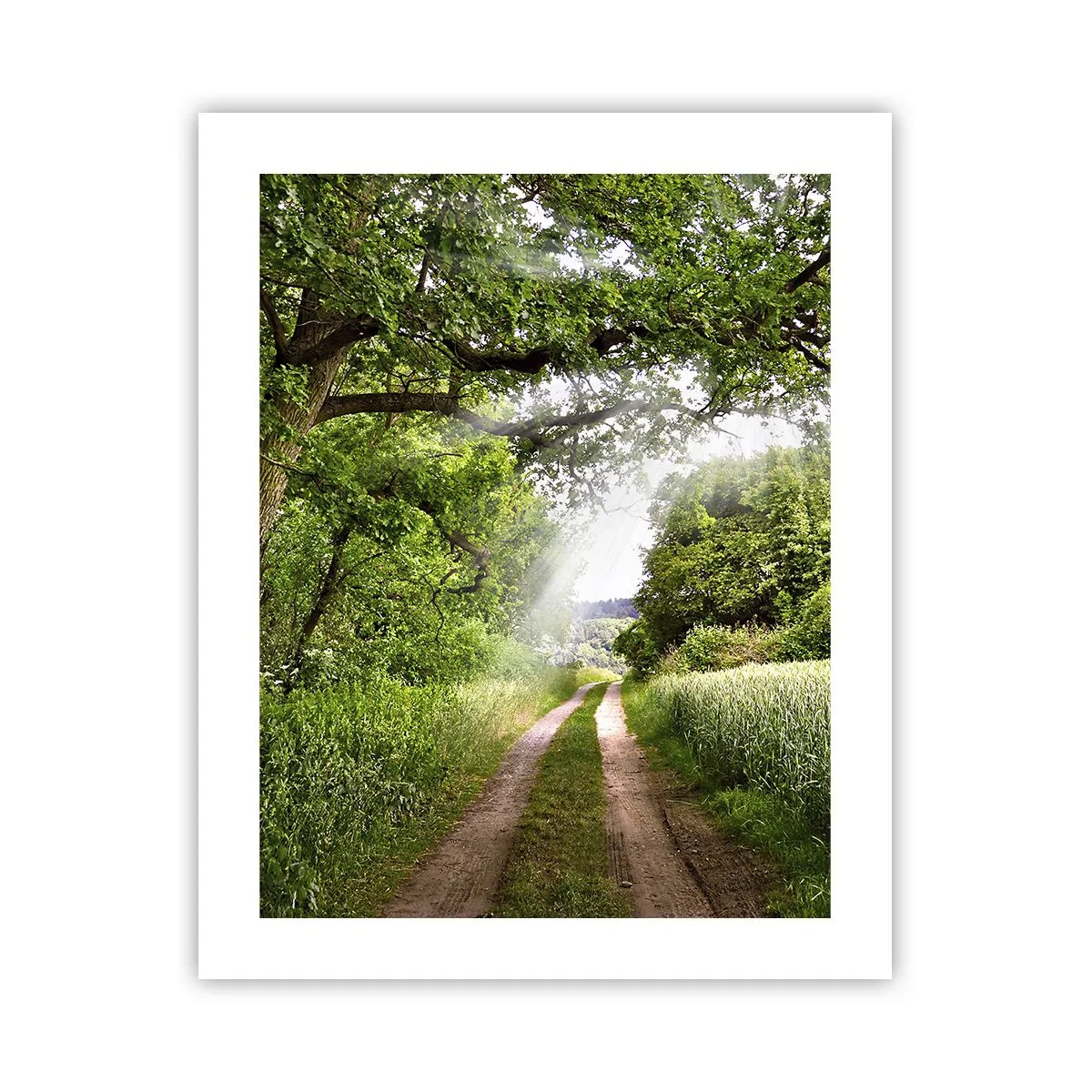 Plakat - Et in Arcadia ego - 40x50 cm