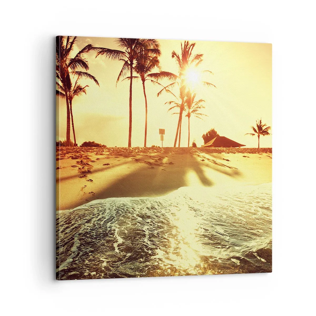 Obraz na płótnie - Kalifornijskie popołudnie - 60x60 cm