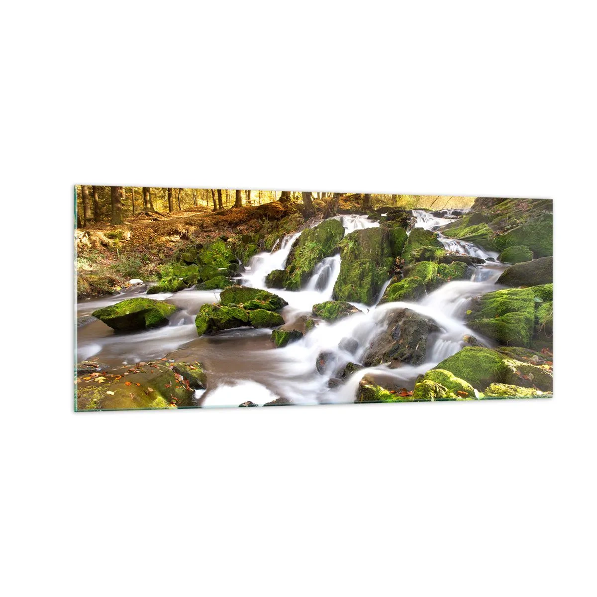 Obraz na szkle - Bystro przez jesienny las - 100x40 cm