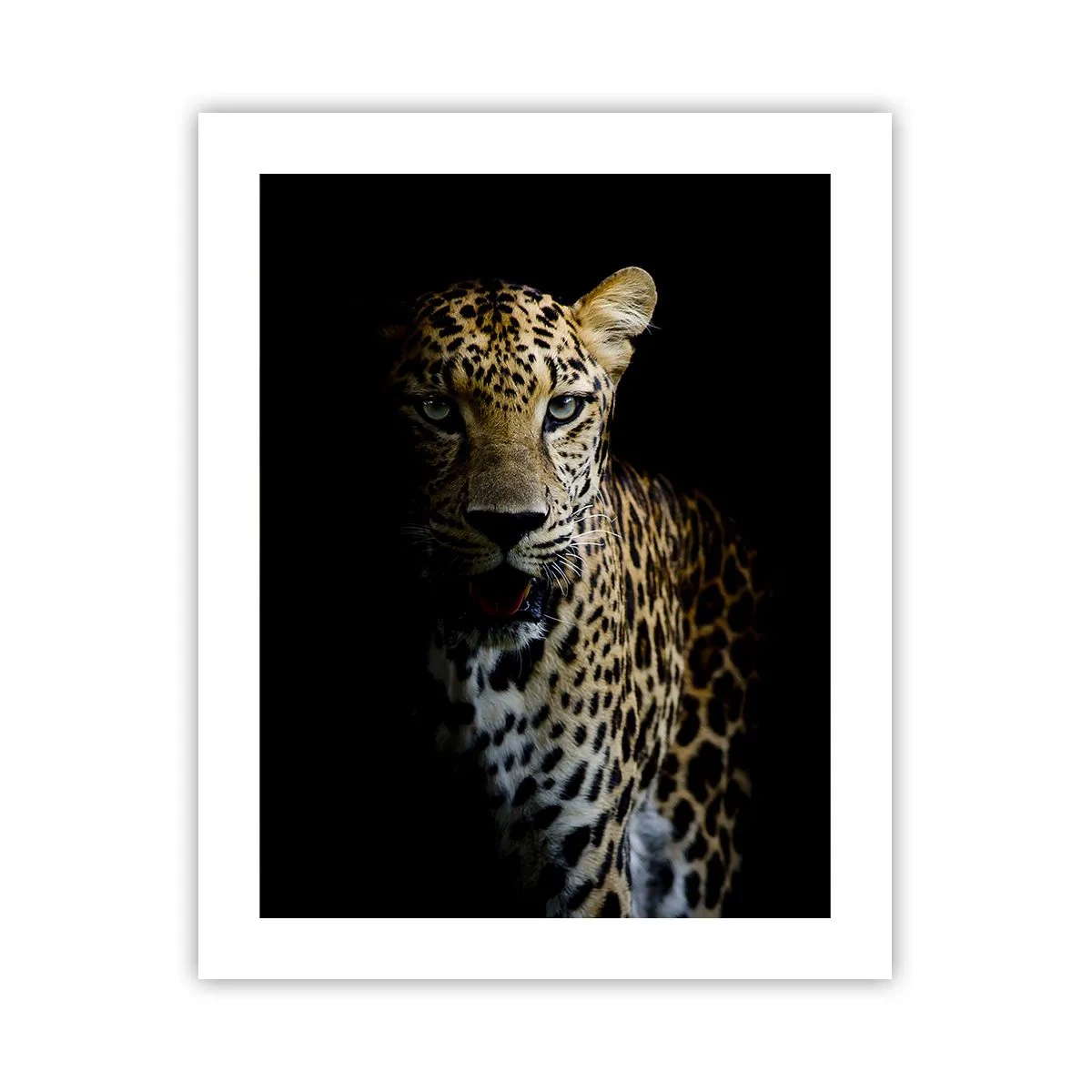 Plakat - Mroczne piękno - 40x50 cm