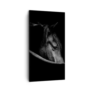 Obraz na płótnie - Czarny książę - 45x80 cm