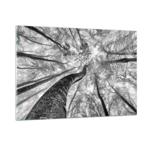 Obraz na szkle - Czarno-białe drzewa sfotografowane od dołu w kierunku nieba - 120x80cm - Wyścig do światła - Nowoczesna dekoracja ścienna do salonu, kuchni i sypialni ARTTOR