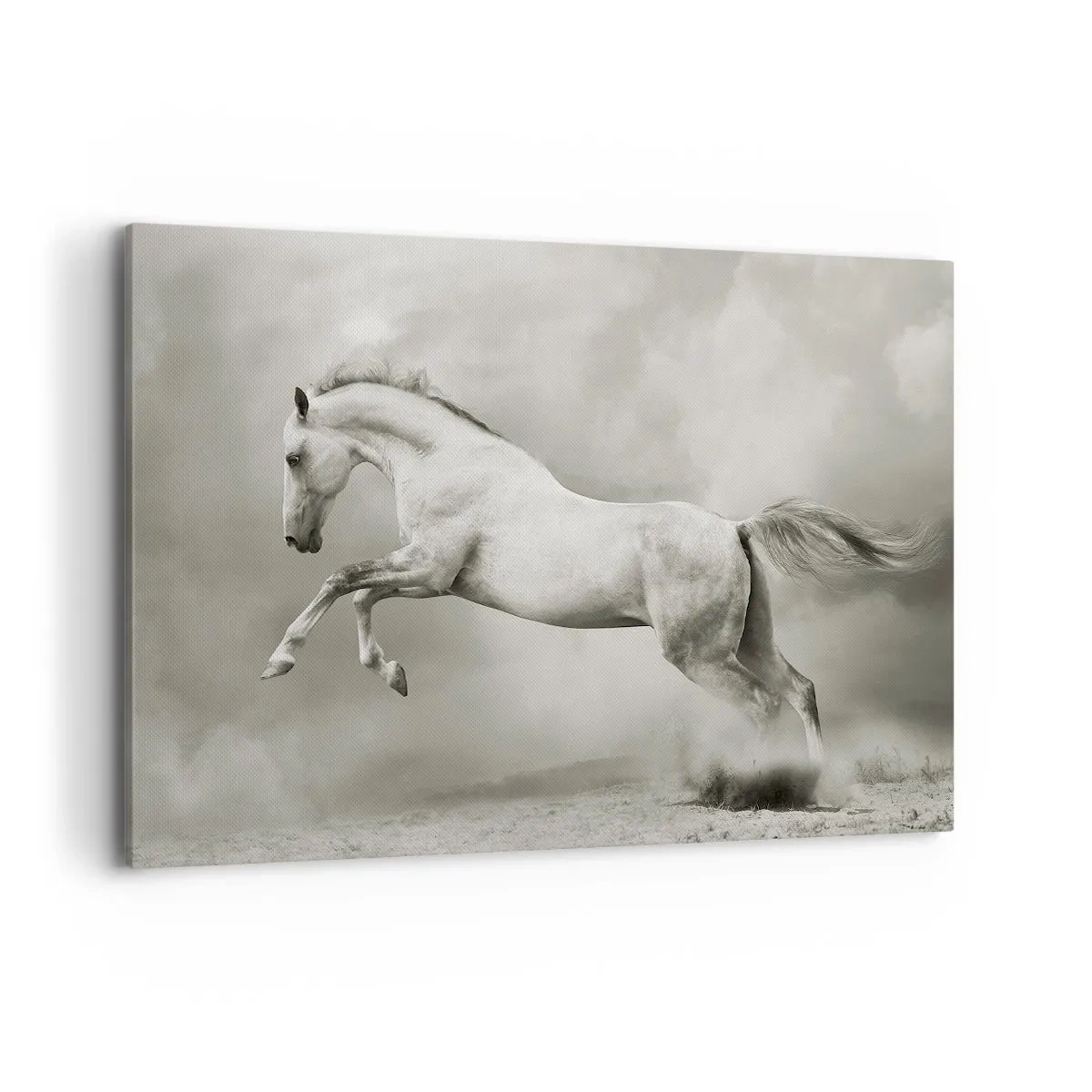 Obraz na płótnie - Biały koń w dynamicznym skoku na tle mglistych chmur - 100x70cm - Między jawą a snem - Nowoczesna dekoracja ścienna do salonu, kuchni i sypialni ARTTOR