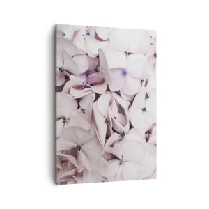 Obraz na płótnie - Zbliżenie na delikatne białe hortensje z błękitnymi środkami - 50x70cm - W powodzi kwiatów - Nowoczesna dekoracja ścienna do salonu, kuchni i sypialni ARTTOR