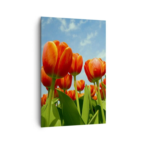 Obraz na płótnie - Pole czerwono-pomarańczowych tulipanów na tle błękitnego nieba - 80x120cm - Oprócz błękitnego nieba nic im w życiu nie potrzeba - Nowoczesna dekoracja ścienna do salonu i sypialni ARTTOR