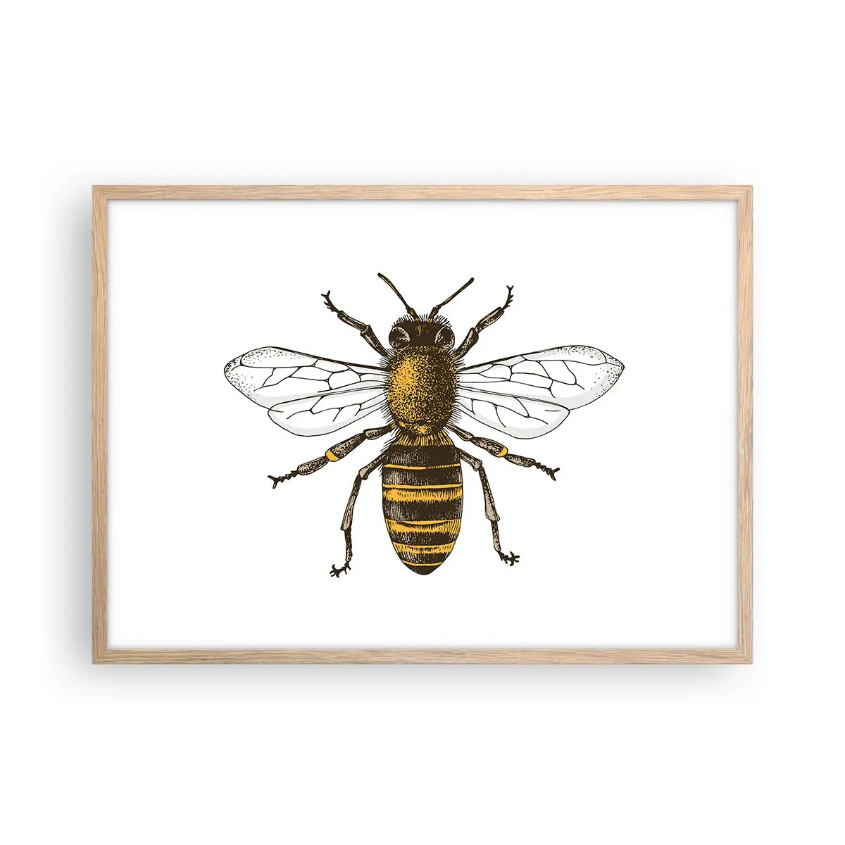 Plakat w ramie jasny dąb - Piękna i dobra - 70x50 cm