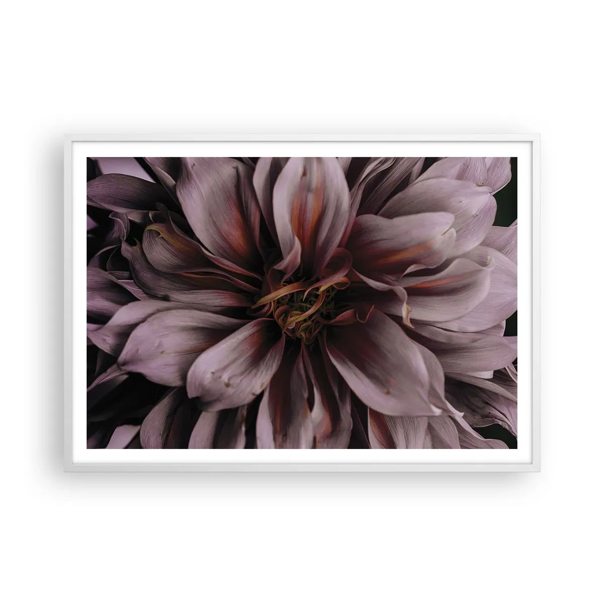 Plakat w białej ramie - Kwietne serce - 100x70 cm