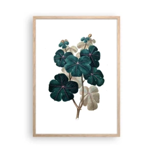 Plakat w ramie jasny dąb - Ze starego zielnika - 50x70 cm