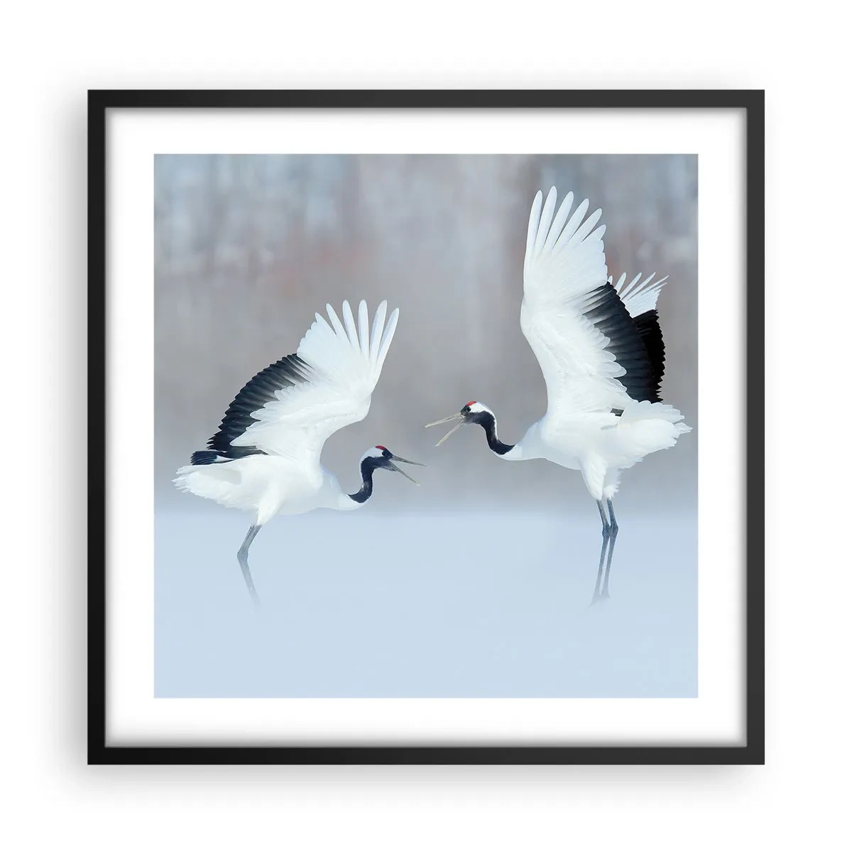 Plakat w czarnej ramie - Taniec we mgle - 50x50 cm