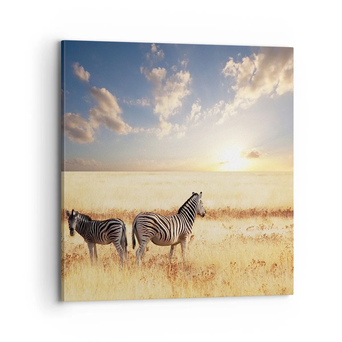 Obraz na płótnie - Idź stąd, nie mąć spokoju - 70x70 cm