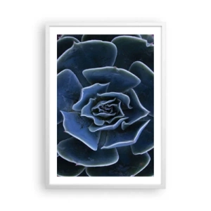 Plakat w białej ramie - Kwiat pustyni - 50x70 cm