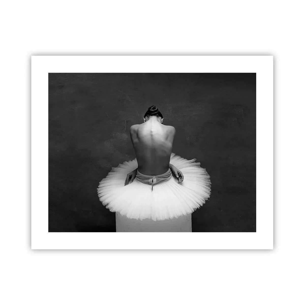 Plakat - Właśnie rozkwita - 50x40 cm