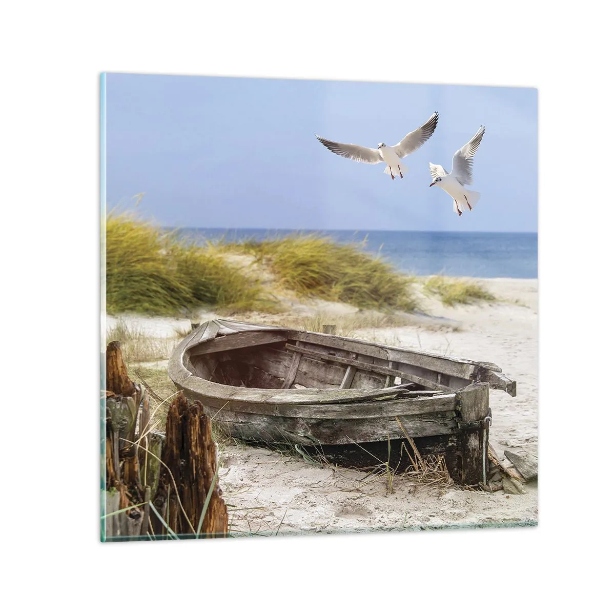 Obraz na szkle - Skąpane wiatrem - 60x60 cm