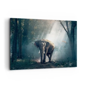 Obraz na płótnie - Słoń w świetle lasu - 100x70cm - Spokojna przechadzka - Nowoczesna dekoracja ścienna do salonu, kuchni i sypialni ARTTOR