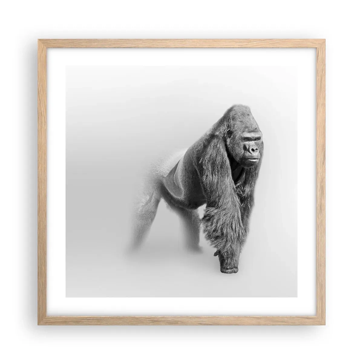 Plakat w ramie jasny dąb - Pewny swej siły - 50x50 cm