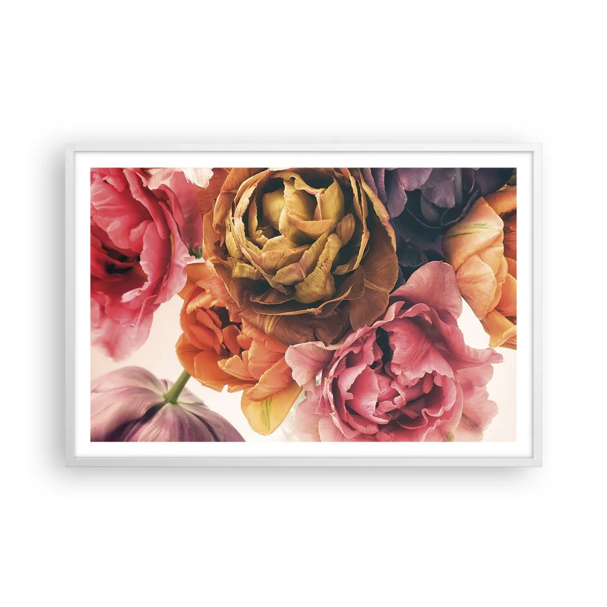 Plakat w białej ramie - Święto życia - 91x61 cm