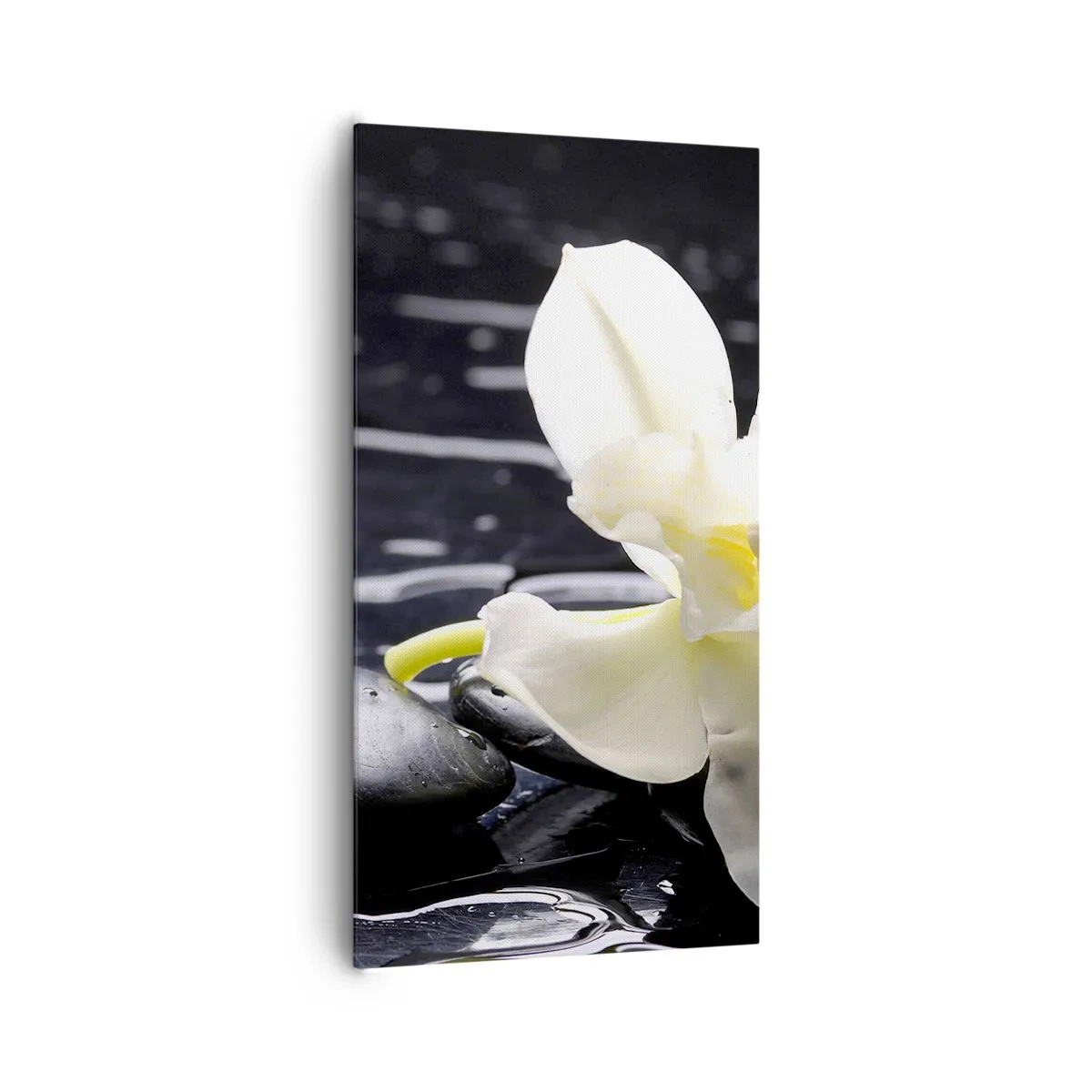 Obraz na płótnie - Studium w czerni i bieli - 65x120 cm