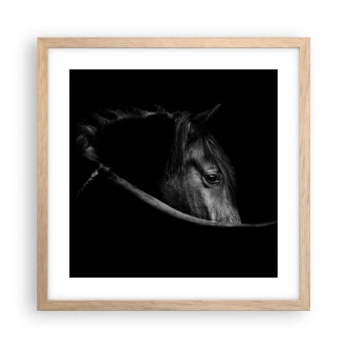 Plakat w ramie jasny dąb - Czarny książę - 40x40 cm