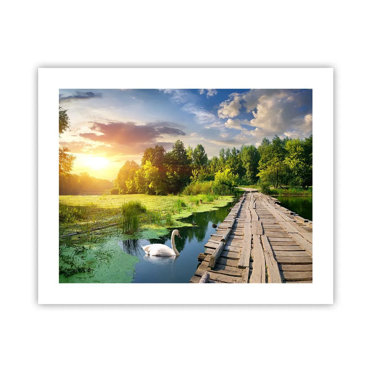 Plakat - Lato, lato wszędzie - 50x40 cm