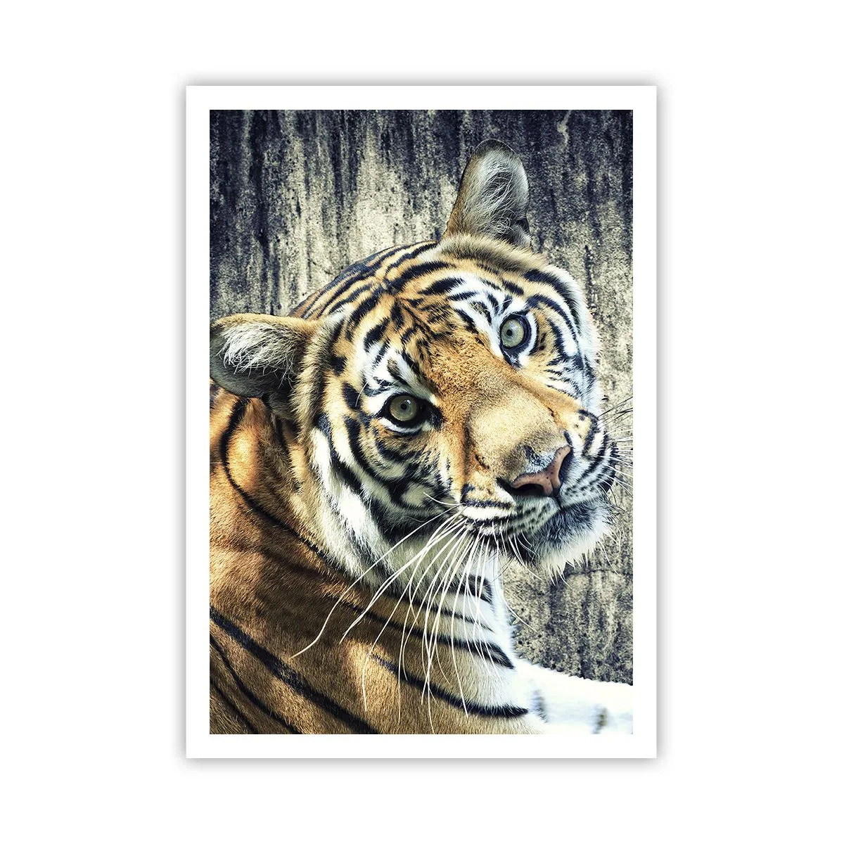 Plakat - Portret w strugach światła - 70x100 cm