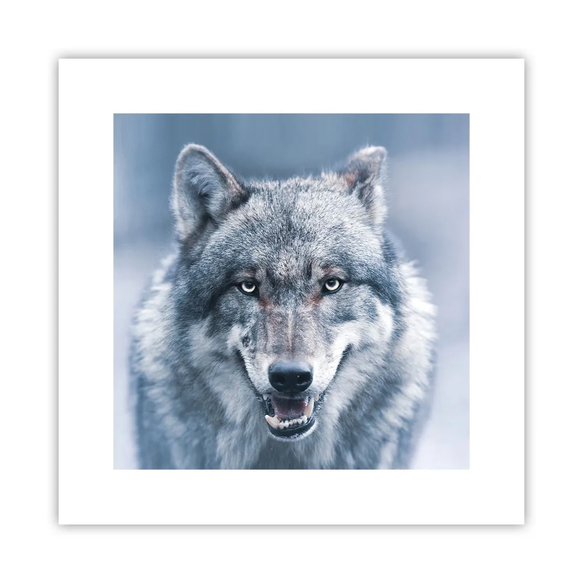 Plakat - Podejmiesz wyzwanie? - 30x30 cm