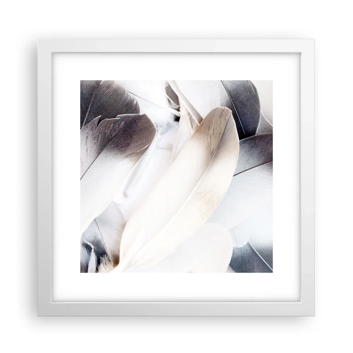 Plakat w białej ramie - Niemal anielskie - 30x30 cm