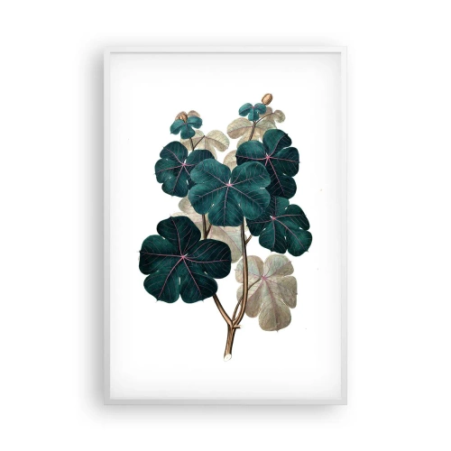 Plakat w białej ramie - Ze starego zielnika - 61x91 cm