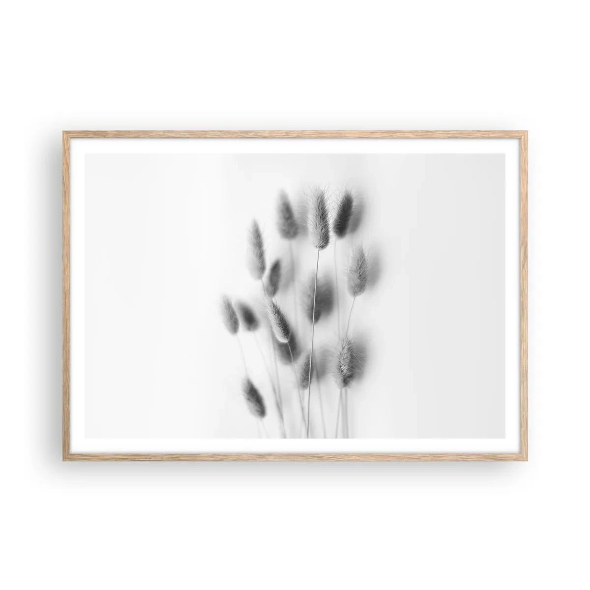 Plakat w ramie jasny dąb - Jej puszystość trawa - 100x70 cm