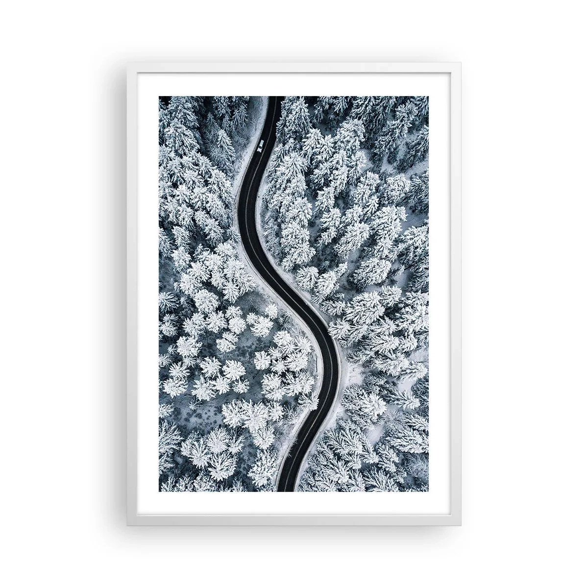 Plakat w białej ramie - Przez zimowy las - 50x70 cm