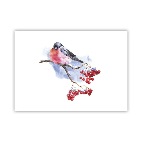 Plakat - Zima w kolorze - 70x50 cm