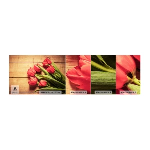 Fototapeta Próbka Standard Eco - Wiosenne wyznanie - Kwiaty, Tulipany, Bukiet Kwiatów - 100x30 cm
