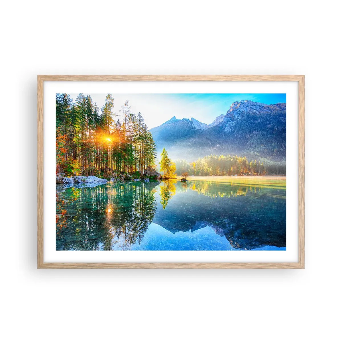 Plakat w ramie jasny dąb - Majestat i słodycz - 70x50 cm