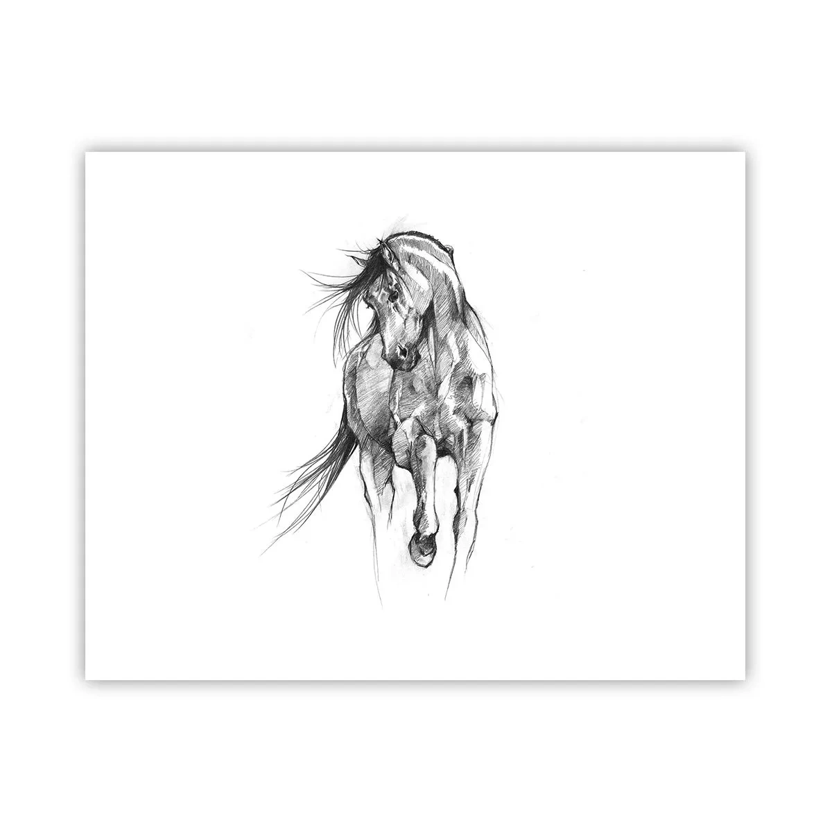 Plakat - We wdzięcznym kłusie - 50x40 cm