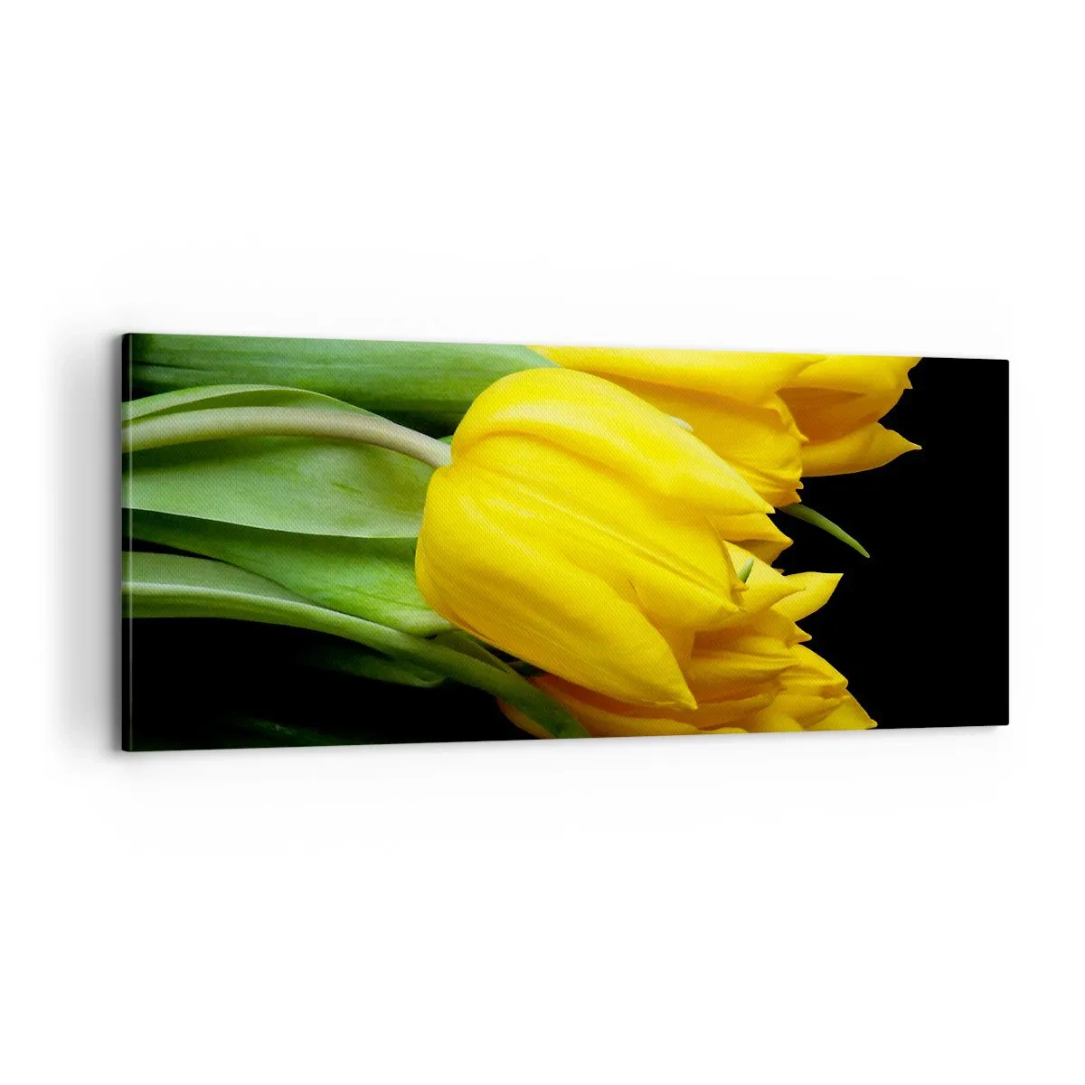 Obraz na płótnie - Powstały z czystego słońca - 100x40 cm