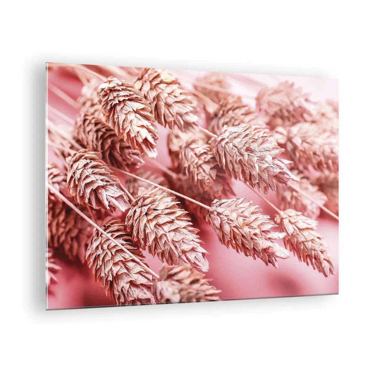 Obraz na szkle - Suszone kłosy w odcieniach różu na pastelowym tle - 70x50cm - Kwietna kaskada w różu - Nowoczesna dekoracja ścienna do salonu i sypialni ARTTOR