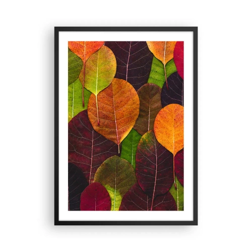 Plakat w czarnej ramie - Kolorowe liście w odcieniach zieleni, pomarańczu i czerwieni ułożone w mozaikę - 50x70cm - Jesienna mozaika - Nowoczesna dekoracja ścienna do salonu i sypialni ARTTOR
