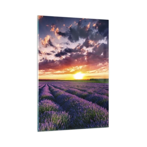 Obraz na szkle - Pole lawendy o zachodzie słońca z kolorowym niebem - 80x120cm - Lawendowy świat - Nowoczesna dekoracja ścienna do salonu i sypialni ARTTOR