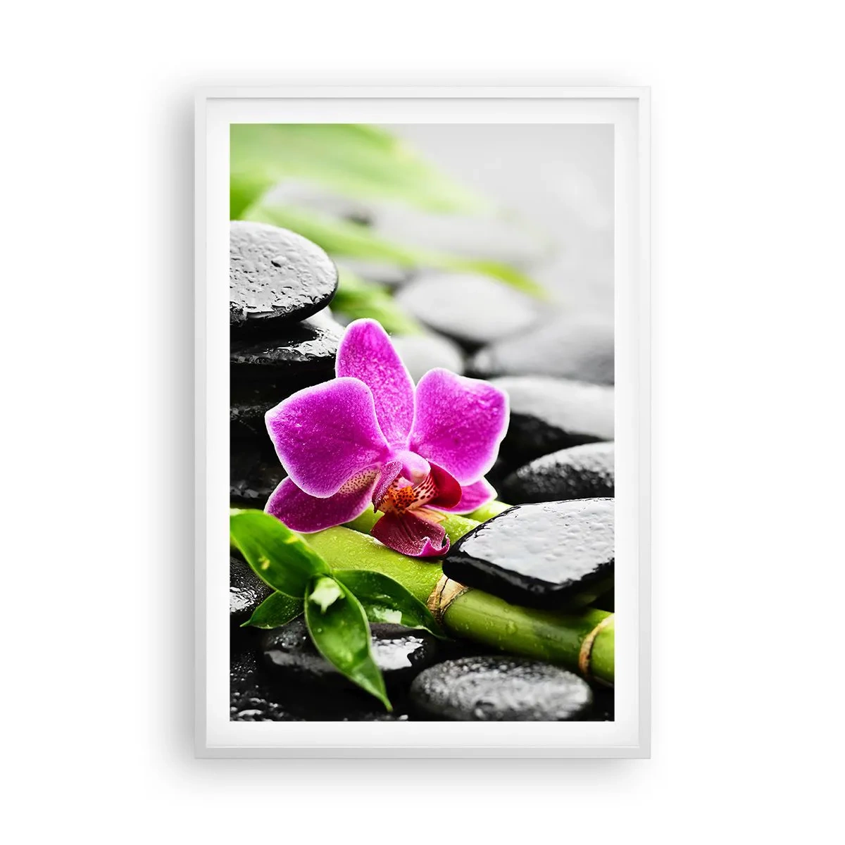 Plakat w białej ramie - W spokojnej równowadze - 61x91 cm