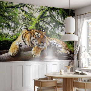 Fototapeta STANDARD ECO - Z wyrazami szacunku - Tygrys odpoczywający w gęstej tropikalnej dżungli - 100x70cm