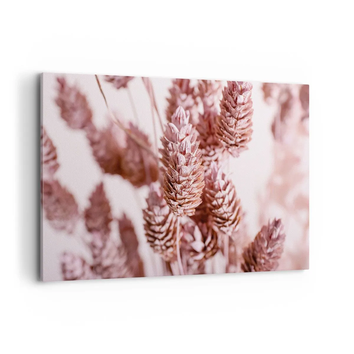 Obraz na płótnie - Zbliżenie na delikatne różowe kłosy traw ozdobnych - 120x80cm - Z pozoru niepozorne - Nowoczesna dekoracja ścienna do salonu, kuchni i sypialni ARTTOR