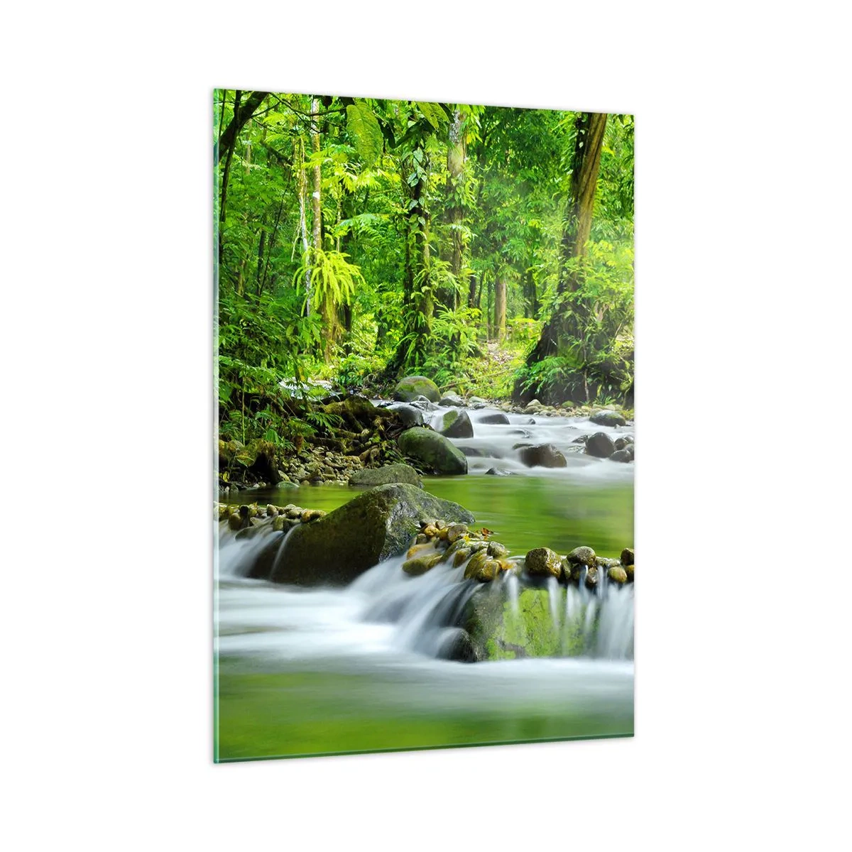 Obraz na szkle - Leśny strumień otoczony bujną roślinnością - 50x70cm - Popłynąć w morzu zieleni - Nowoczesna dekoracja ścienna do salonu, kuchni i sypialni ARTTOR